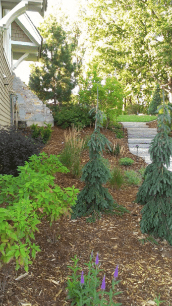 Landscaping Services Edina MN