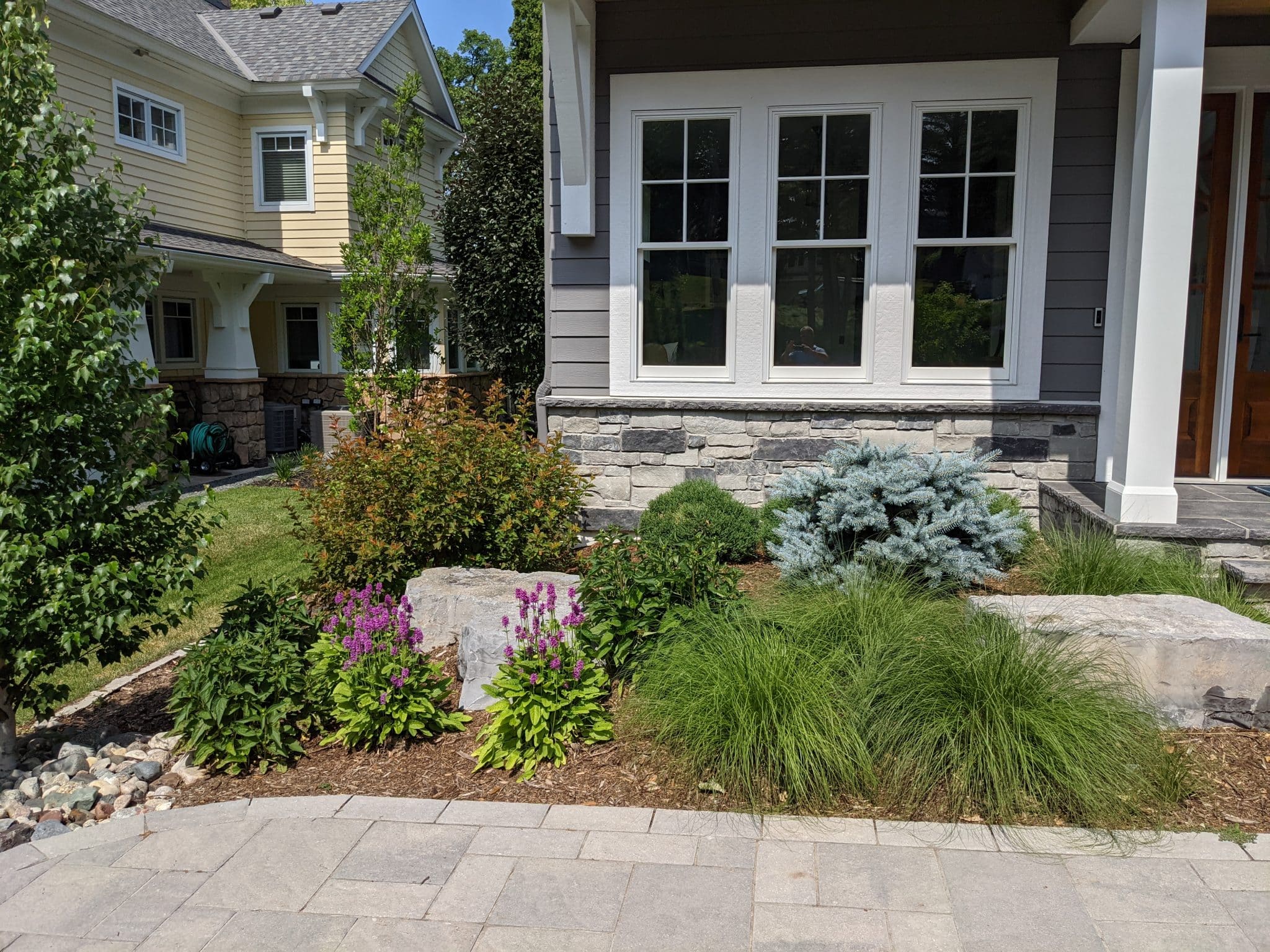 Softscapes & Four-Season Planting Design in Minneapolis